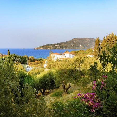 Kedros Hotel Samos Island エクステリア 写真