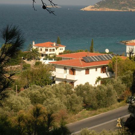 Kedros Hotel Samos Island エクステリア 写真